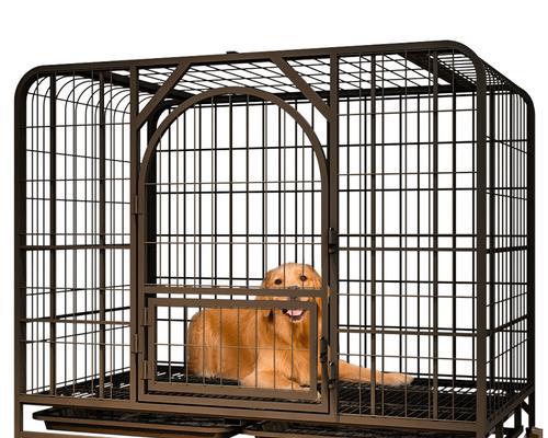 如何让宠物狗狗晚上自愿睡在笼子里（让你的毛茸茸好朋友快乐）