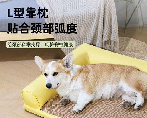 狗狗为何喜欢蹭沙发边（揭秘狗狗的行为习惯与需求）