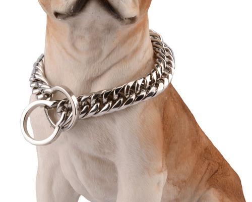 狗狗应该带狗链吗？——宠物的安全与自由