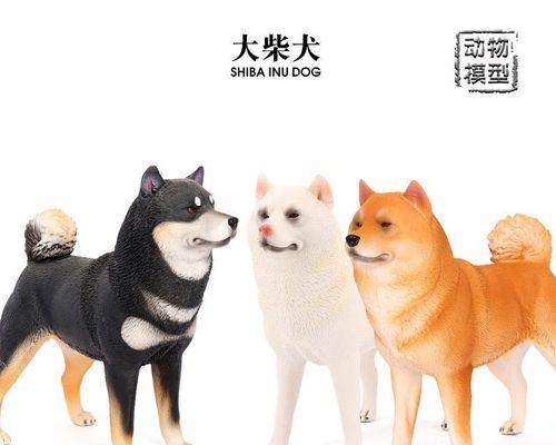 柴犬饮食管理指南（饮食管理对柴犬健康的重要性）