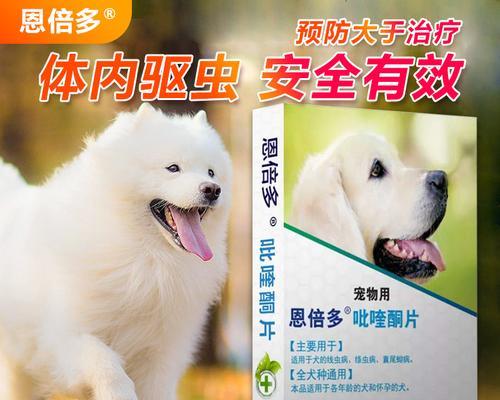 用药指南（解决宠物犬拉吐问题）