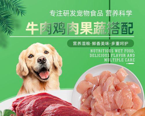 如何选择适合贵宾犬的狗粮（了解贵宾犬的饮食需求）