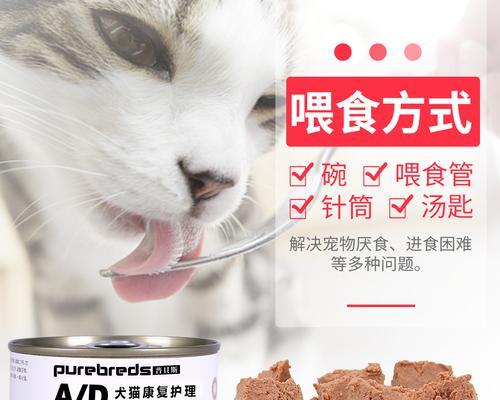 治疗猫咪腹水的有效方法（让你的宠物远离腹水）