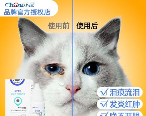 猫鼻之炎的药物治疗方法（为你的宠物选择正确的治疗方案）