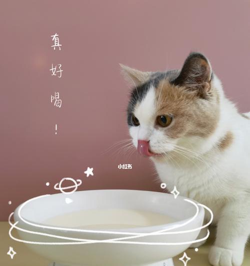 猫咪喝什么奶粉（以宠物为主）