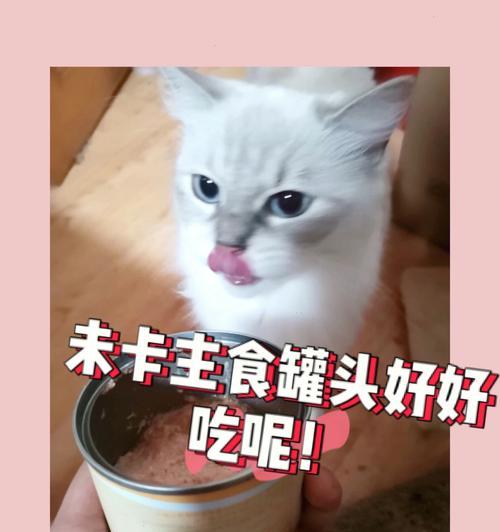 猫吃咸了会怎么样（保护你的宠物）