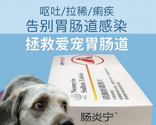 如何帮助宠物猫治疗肠炎（猫得了肠炎）