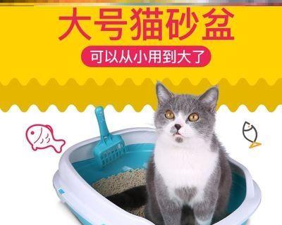 母猫如何引导小猫使用猫砂盆（让宠物猫学会正确使用猫砂盆的方法）