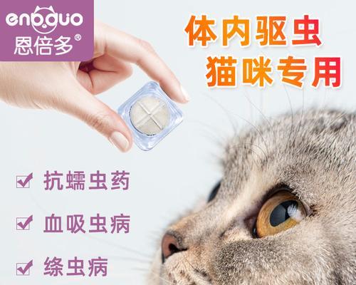 探秘猫蛔虫的特征及防治方法（宠物猫常见疾病大揭秘）