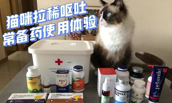 宠物猫拉肚子应对方法（如何治疗宠物猫拉肚子）