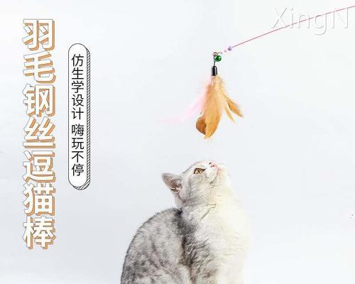 当宠物猫咬主人怎么办（应对宠物猫咬伤的正确方法）