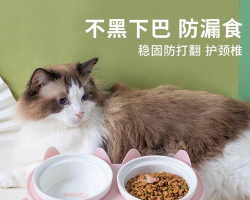 猫咪的排便习惯与健康问题剖析（探究猫咪每天排便量多少合适）