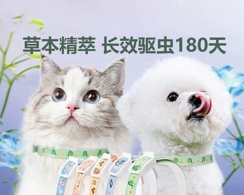 宠物猫生了猫虱该怎么办（从预防到治疗）