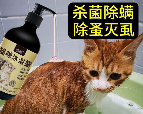 猫生小猫后的禁忌（如何保障宠物猫和小猫的健康）