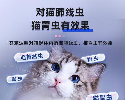 宠物养护必知（养猫必备知识）