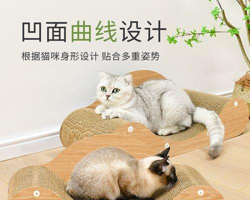 猫咪为什么会磨爪子（揭秘猫咪磨爪子的原因及解决方法）