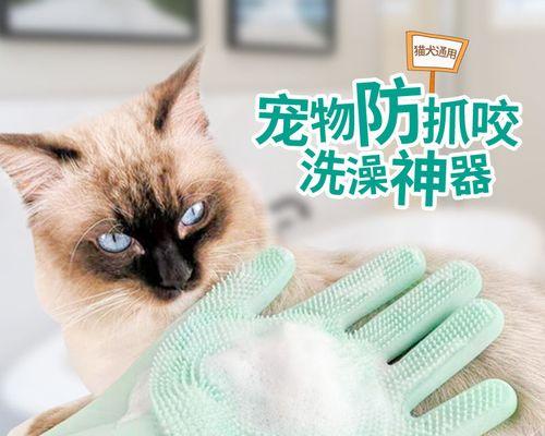 猫咬人十天，谁之过（揭开宠物和主人之间的误解）