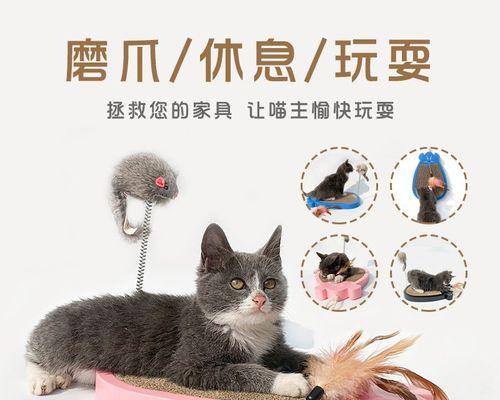 猫爪子太尖（以宠物为主）