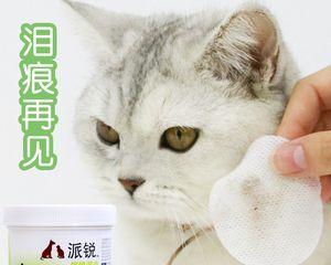 猫咪尿路感染如何治疗（以药物治疗为主）