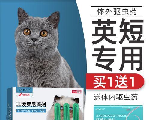 猫咪半夜闹怎么办（以宠物为主）