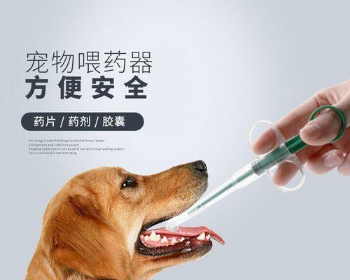 宠物猫必须打的疫苗种类（保护宠物健康）