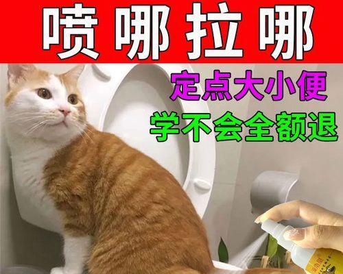 让宠物舒服过日子——解决猫咪便秘问题