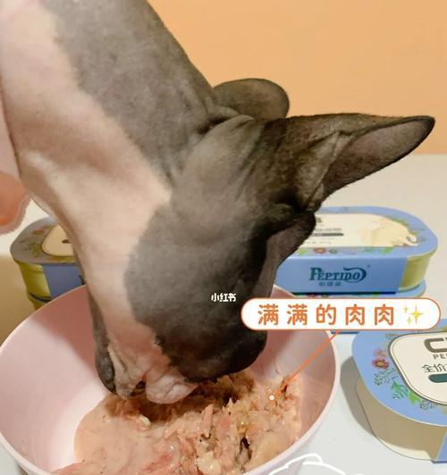 长期以肉类为主食的猫咪，好还是不好（探讨宠物猫咪以肉类为主食的利弊）