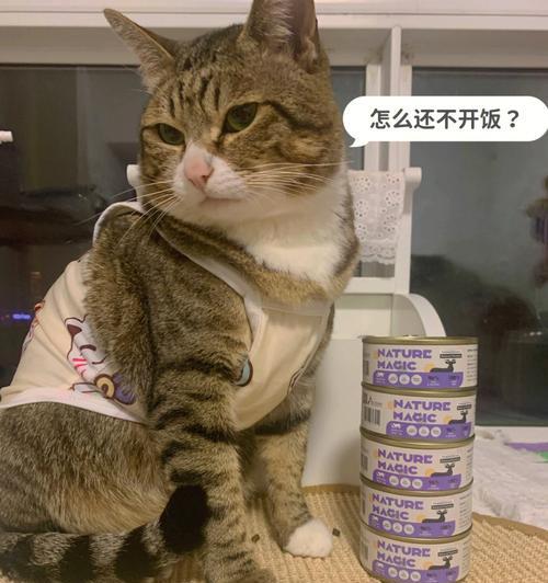 长期以肉类为主食的猫咪，好还是不好（探讨宠物猫咪以肉类为主食的利弊）