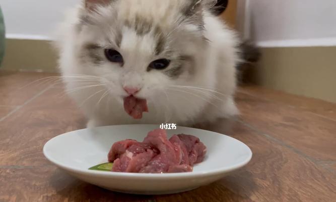 长期以肉类为主食的猫咪，好还是不好（探讨宠物猫咪以肉类为主食的利弊）