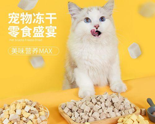 宠物猫咪可以吃鸡肉吗（营养是否均衡是关键）