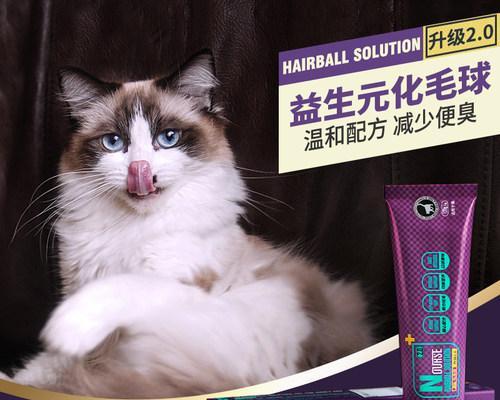 六个月大的猫咪怎样使用化毛膏解决脱毛问题（宠物饲养中的必备技能）