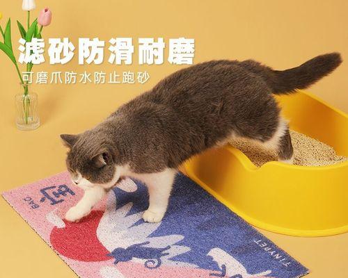 一文搞懂猫咪用什么猫砂最好（以宠物为主）