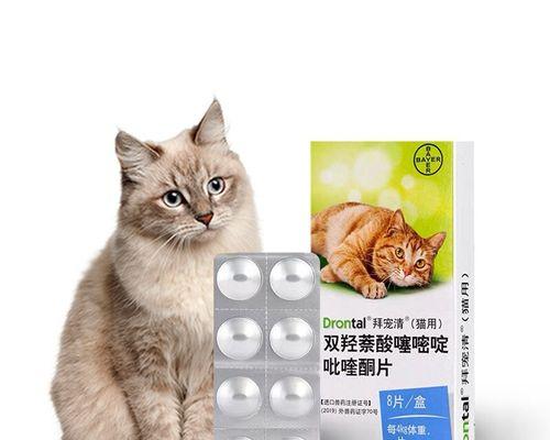 猫咪驱虫药使用指南（宠物健康从饮食开始）