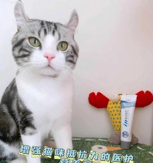 为什么以猫咪多大吃营养膏是重要的（宠物猫的健康和幸福靠它）