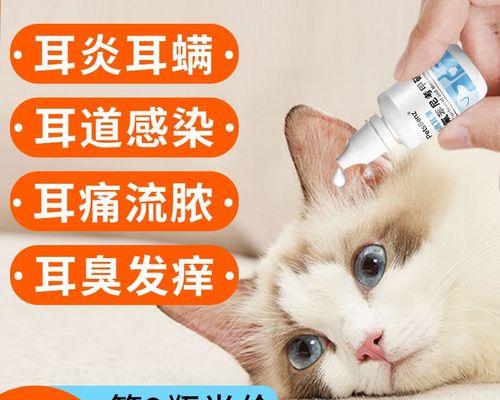 猫咪耳朵的健康状况与你想象中的重要性（从凉到发热的耳朵）