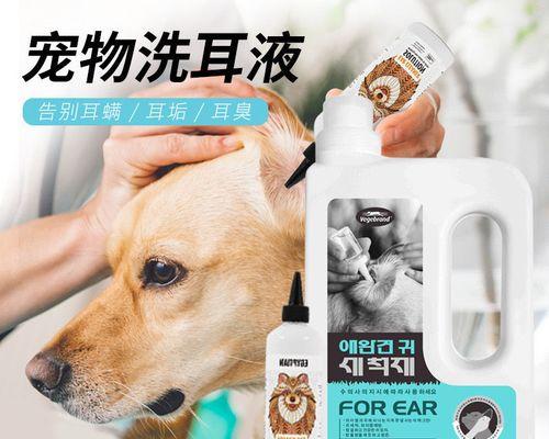 猫咪耳朵的健康状况与你想象中的重要性（从凉到发热的耳朵）