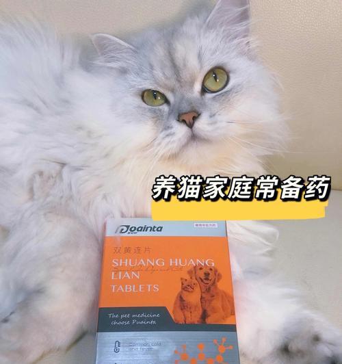 如何给发烧的猫咪治疗（了解猫咪发烧的原因及药物治疗）