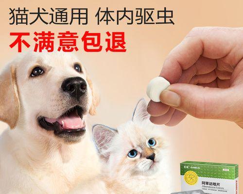 如何正确给猫咪服用驱虫药（关爱宠物健康）