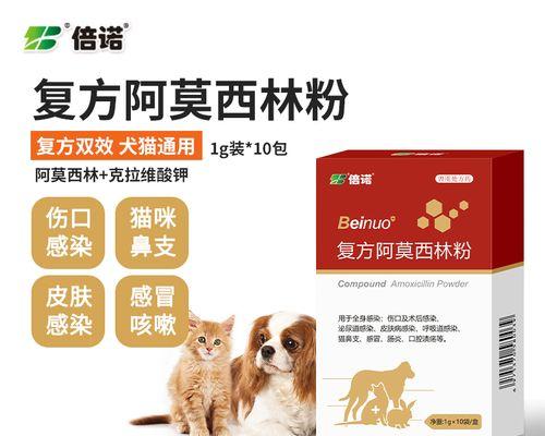 宠物猫咪感冒治疗必备——阿莫西林详解（猫咪感冒阿莫西林的用法）