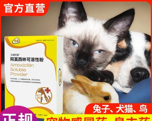 宠物猫咪感冒治疗必备——阿莫西林详解（猫咪感冒阿莫西林的用法）