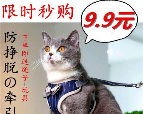 猫咪怀孕，准备迎接新生命的到来（了解猫咪怀孕周期）