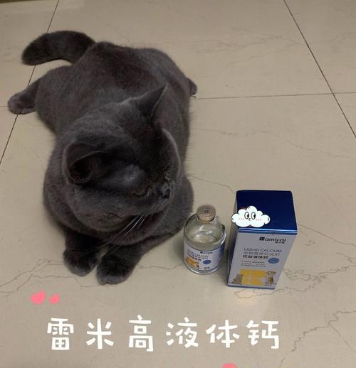 如何帮助猫咪补钙（以宠物为主）