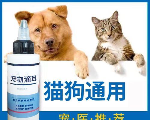 剪耳朵究竟是为了什么（深入探讨猫咪剪耳朵的原因和影响）