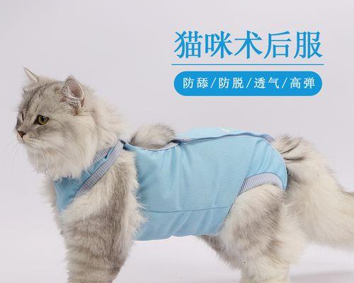 猫咪绝育——爱护宠物的责任（上门绝育服务为何越来越受欢迎）