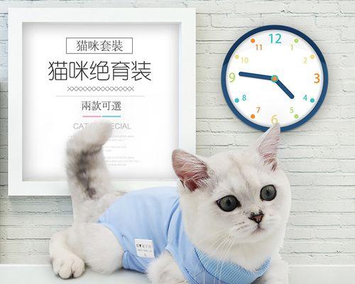 猫咪绝育对宠物成长的影响（为什么要给猫咪绝育）