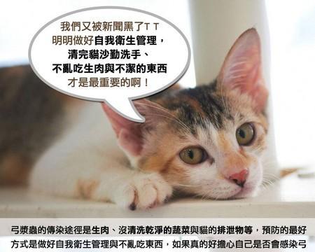 猫咪拉完屎总乱跑，该如何应对（宠物主人必看！如何训练猫咪在拉完屎后不乱跑）