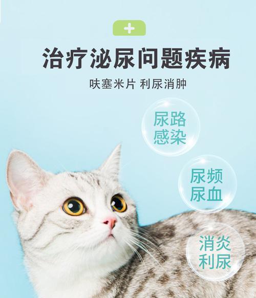 猫咪利尿药全知识（从宠物健康、药物分类到正确用药）