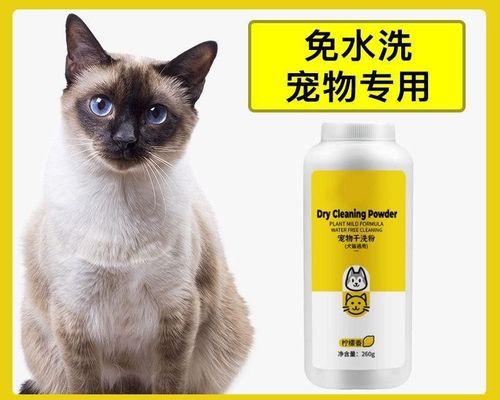 宠物猫流产后的照护方式（从手术后的护理到生理保健）