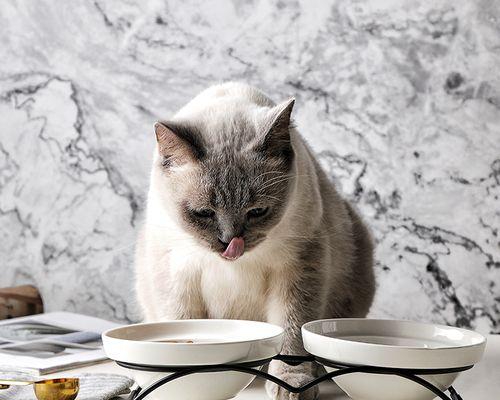 猫咪埋食物的行为解析（探究猫咪埋食物的原因及应对方法）