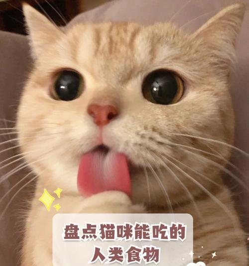 猫咪的饮食之道（探讨猫咪能吃的食物表及营养搭配）